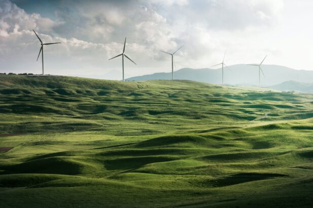 Windkraftanlagen auf grüner Hügelkuppe